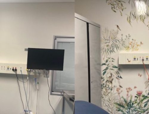 Floral Watercolours Soften Health Spaces at St Vincent’s Health Network